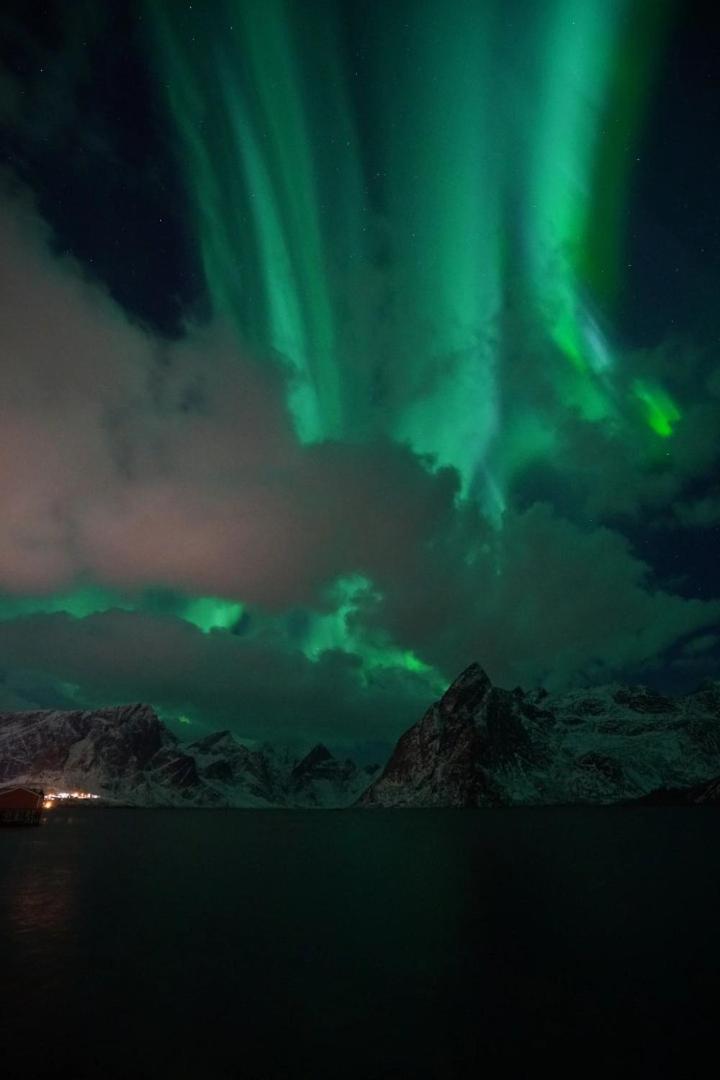 Lofoten Panoramic Luxury Home With Sauna Moskenes Kültér fotó
