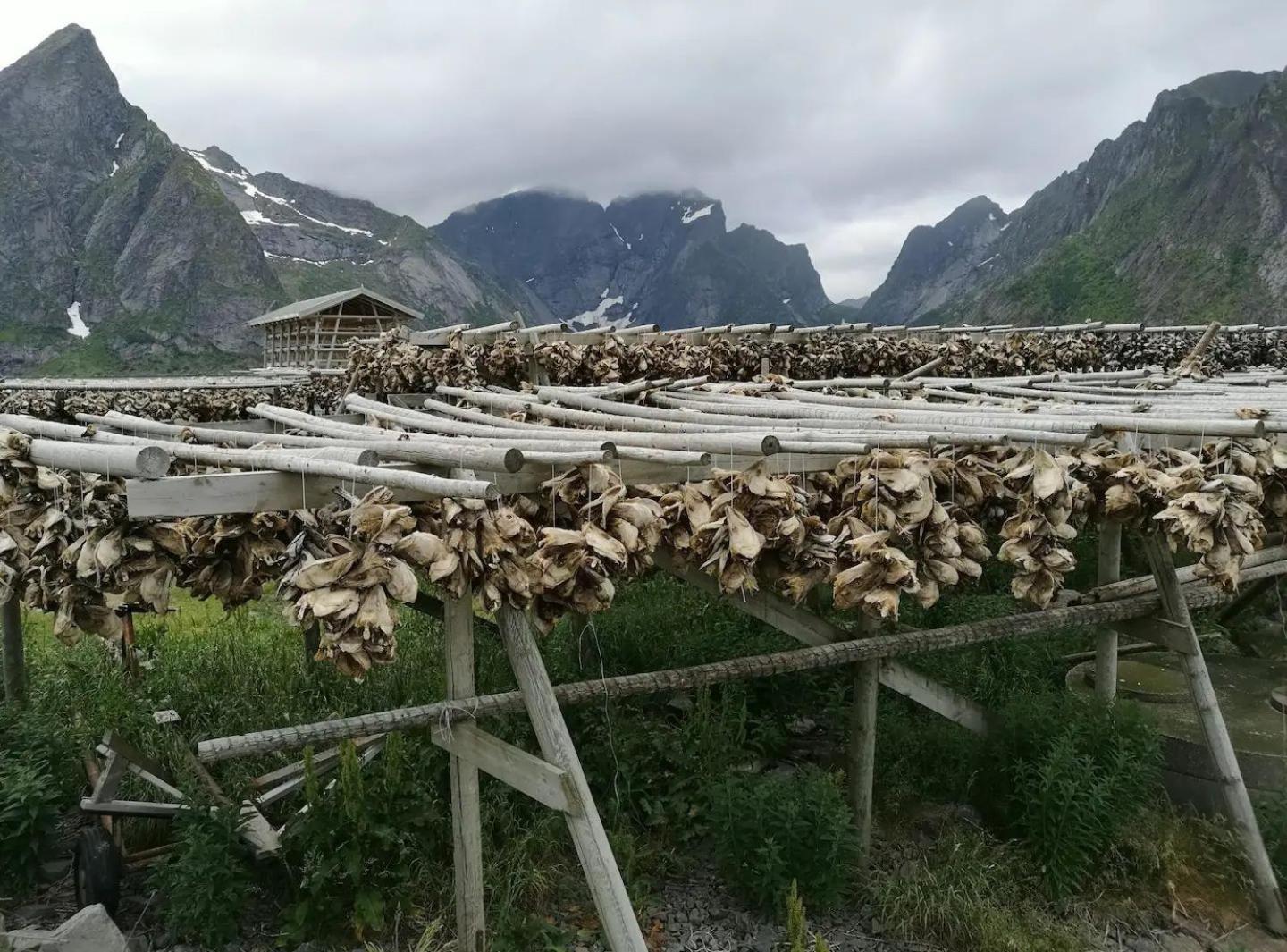 Lofoten Panoramic Luxury Home With Sauna Moskenes Kültér fotó